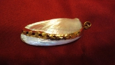 VTG 80'S ABALONE SHELL, WHITE PEARLIZED COLOR WITH GOLD ACCENT PAINT
VERY BEAUTIFUL AND ELEGANT
