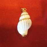 VTG 80'S WHITE CONCH SHELL WITH GOLD ACCENTS, HAND PAINTED GOLD PAINT
LOOP FOR CHAIN
BEAUTIFUL CONICAL SHELL, HAND PAINTED GOLD ACCENTS
