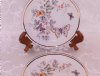 AVON Porcelain Hand Decorated Miniature Plates Butterflies Two Plates
