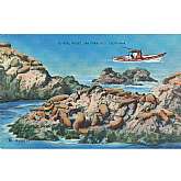 Vintage Postcard Seal Rocks, San Francisco, California 43666Features:	• Linen 1930-1950Size: 3.5" x 5.5"Condition: Pre-Owned GoodCondition is consistent with an old or antique paper postcard. It may have corner bumps,