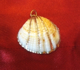 VTG 80'S COCKLEAR SCALLOP SHELL W/GOLD PAINTED ACCENTS
VERY ELEGANT AND TASTEFUL