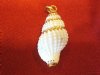 VTG WHITE SPIRALED CONCH SEASHELL H/GOLD ACCENTS HAND PAINTED