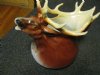 circa. 1915 Large, Royal Bayreuth /Moose Pitcher
