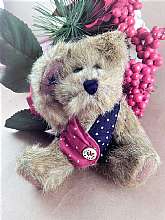 Adorable brown stuffed plush boy bear by BOYDS TJ's Best Dressed Collections Bear named I B BearyProud