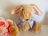Vintage 1996 collectible by The Bialosky Treasury.
Cute lop ear bunny rabbit with big feet.