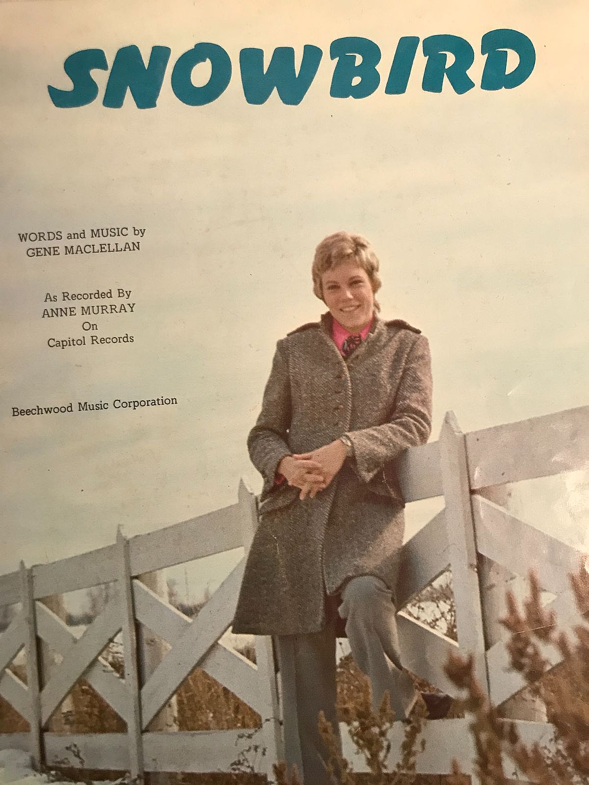 A blend of pop and country, with strong elements of folk music