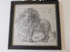 Mid Century Salvador Dali Lion Sketch 1956 Salvador Dali Museum Framed Lithograph