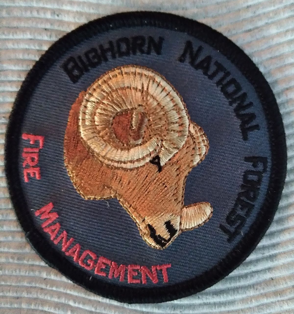 Fire Management