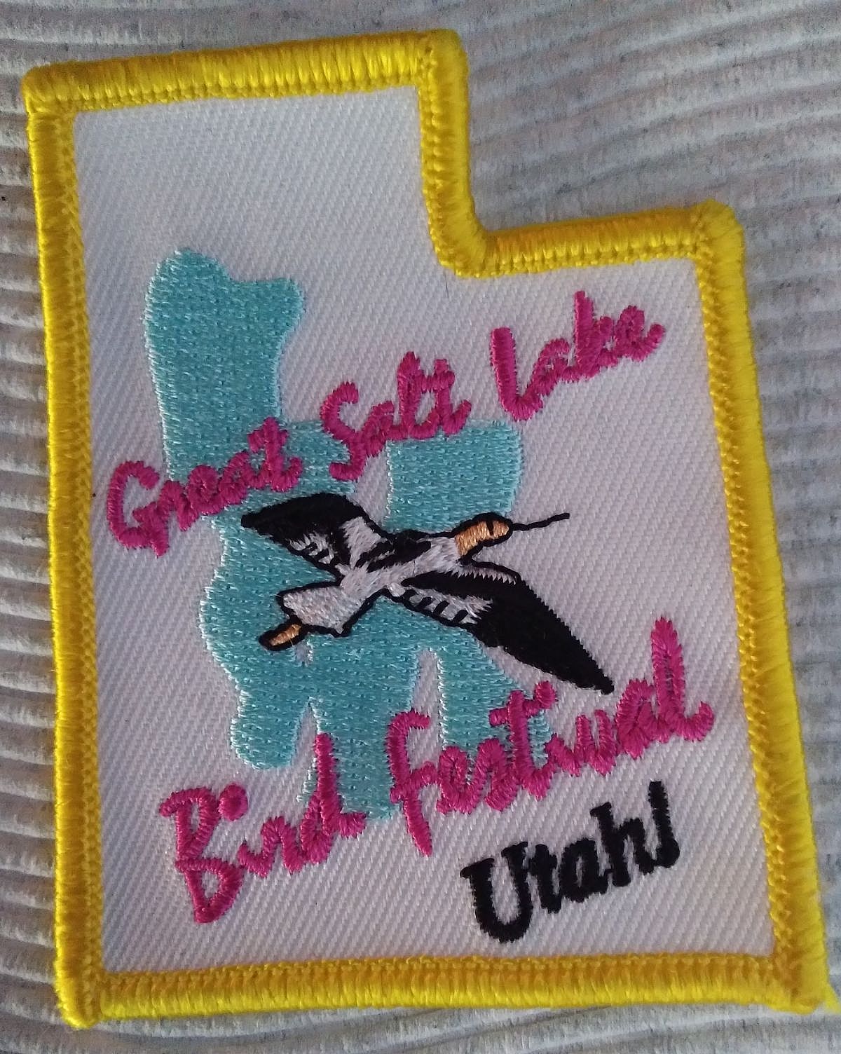 Bird Festival
