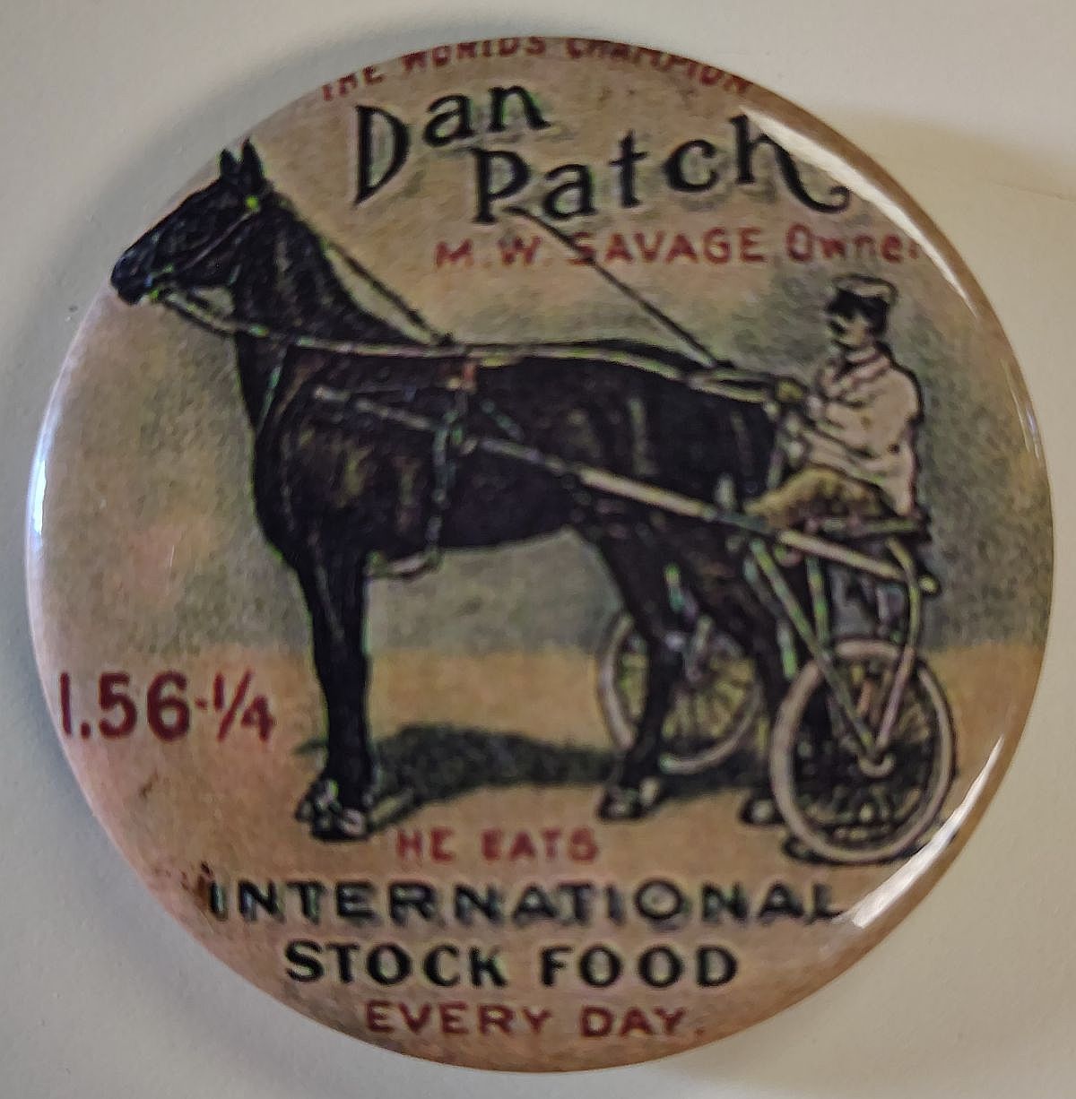 International Stock Food