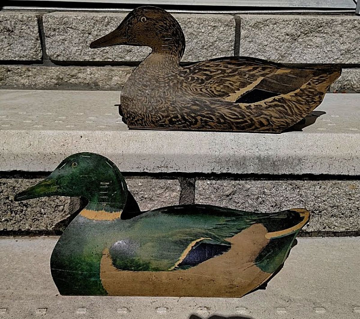 This great pair of hunting decoys was manufactured by the William R. Johnson Company in Seattle, Washington in the 1930's. They're made of lithographed and waxed cardboard and can fold flat for transport. 