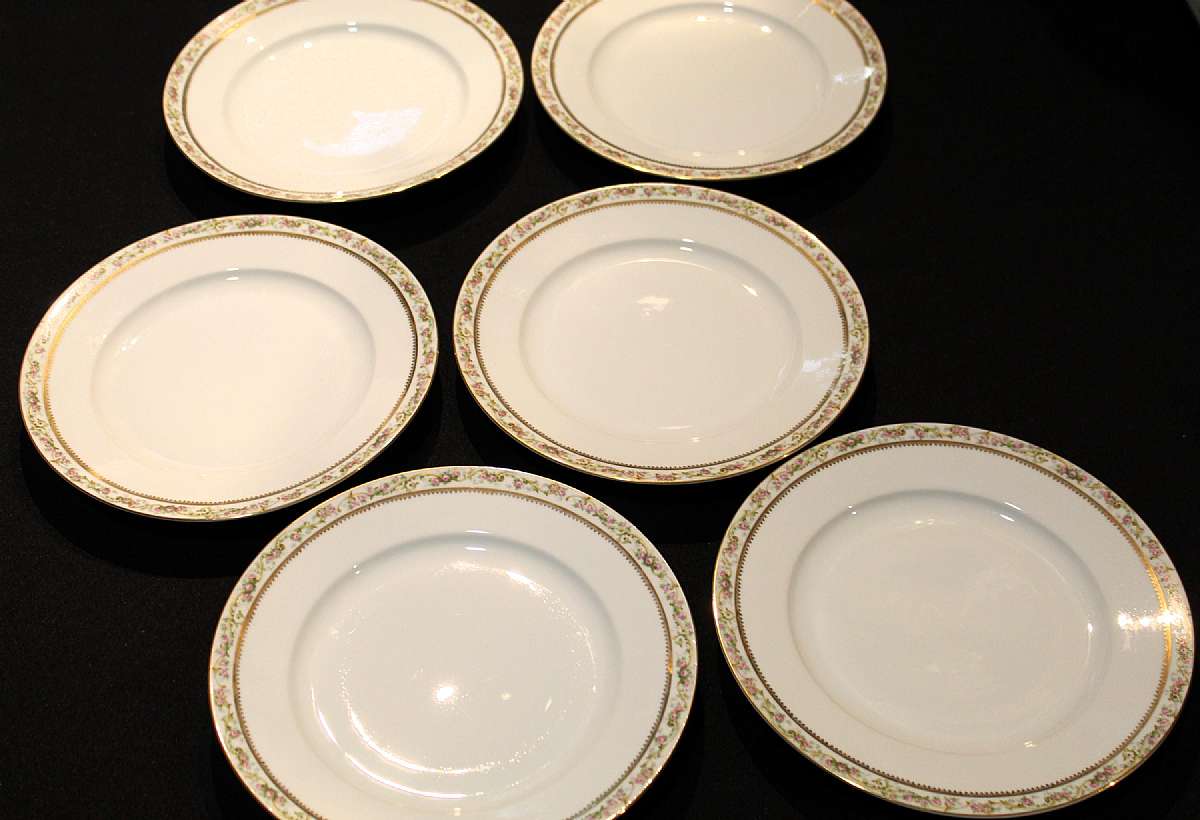 Up for sale are these Altrohlau Pink Roses, Yellow Scrolls, Gold Filigree Set Of Six Dinner Plates in great condition with no chips or cracks and minor gold wear. The Dinner Plates measure approx. 9 1/2"W.Shipping Excludes: Alaska/Hawaii, US Protect