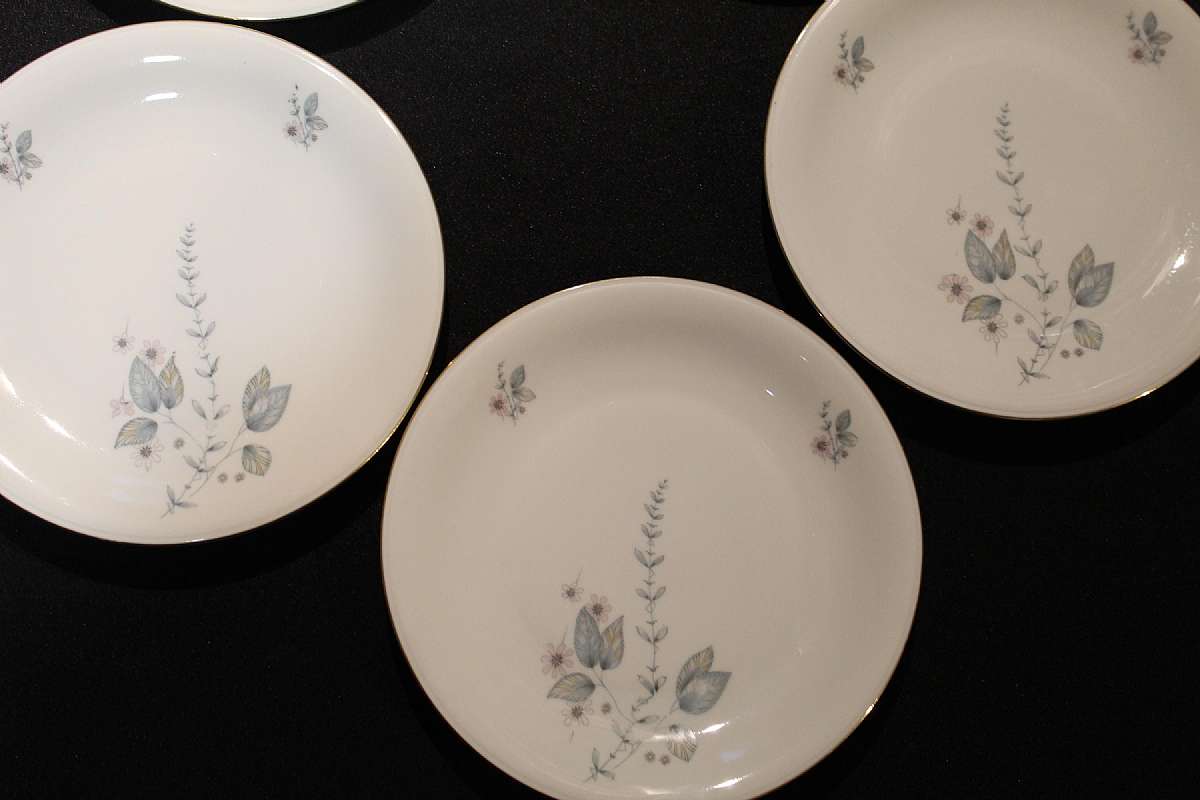 Up for sale is this Elfenbein Bavaria Porcelain Vintage Five Salad Plates. No chips or cracks or crazing. The plates measure approx. 8"W.Shipping Excludes: Alaska/Hawaii, US Protectorates, APO/FPO, PO BoxShipping Provided to the United States Only.