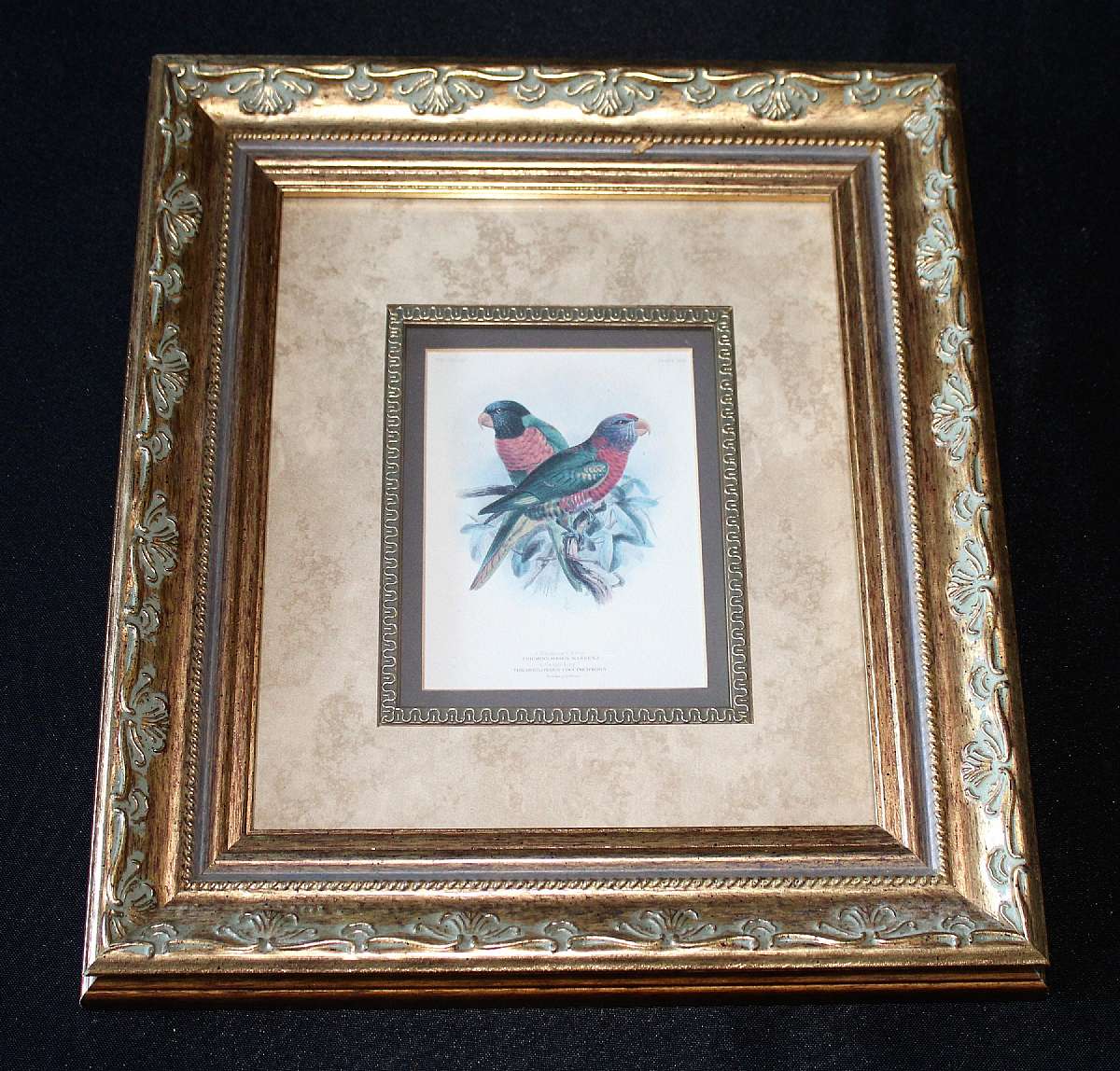 Up for sale is this St. George Jackson Mivart Authorized Print Massenas Lory Greys Lory. The work was authored by St. George Jackson Mivart and the celebrated John Gerrard Keulemans provided the images. The work was published in London by R. H. Porter. Ke