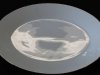 Noritake Reina Large Oval Serving Sixteen Inch Platter