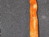 Harvard Anniversary Cane